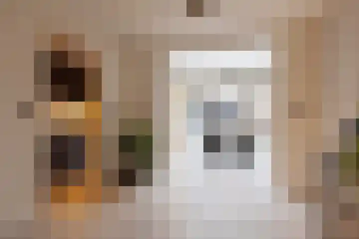 Het Veldje 151 Horst thumbnail 6