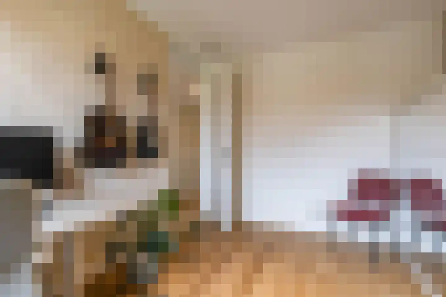 Het Verlaat 2 Meerstad thumbnail 31