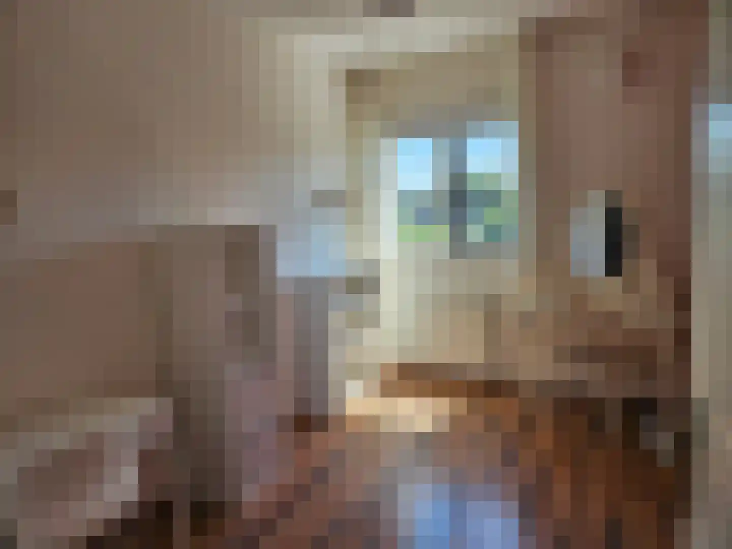 Het Verlaat 282 Apeldoorn thumbnail 19