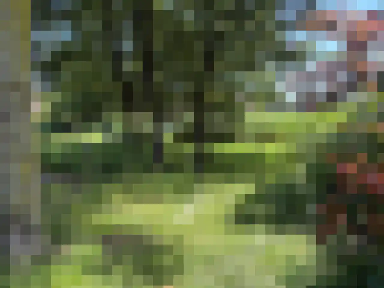 Het Verlaat 282 Apeldoorn thumbnail 28