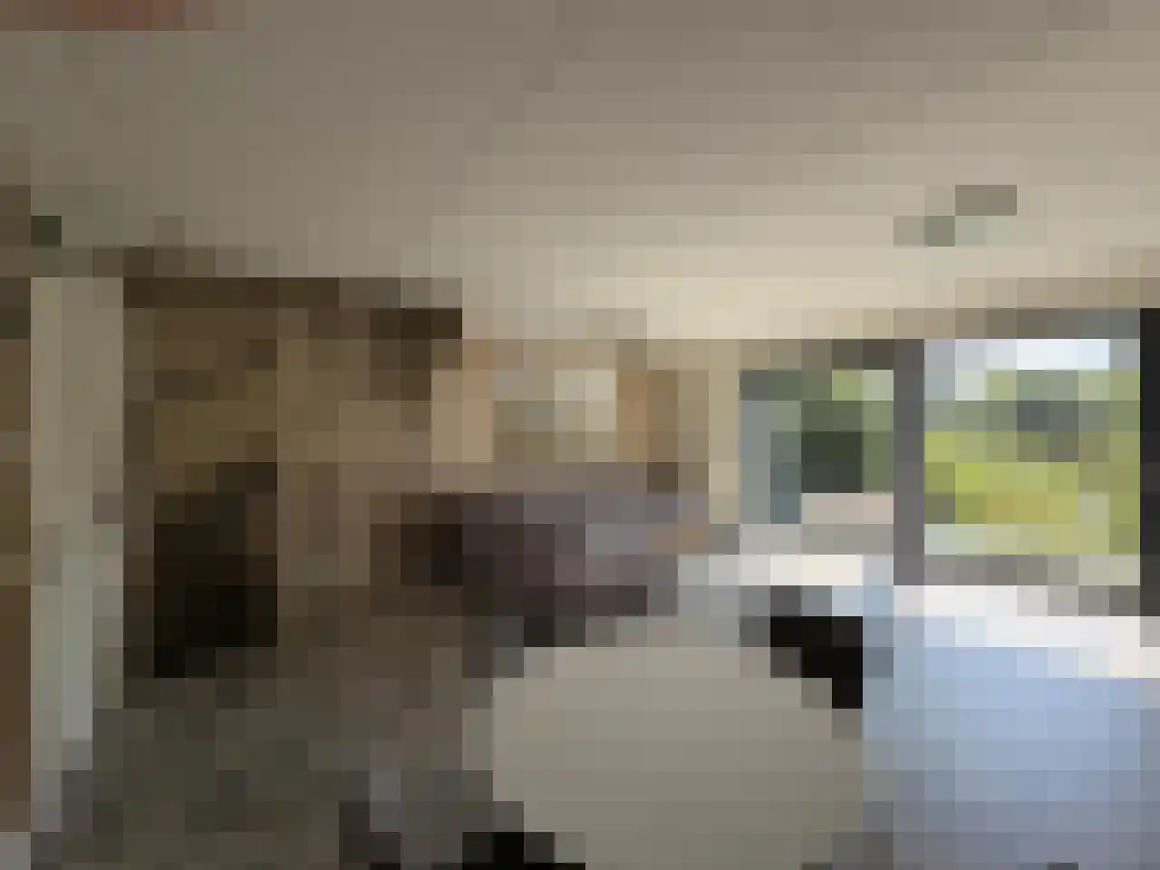 Het Verlaat 282 Apeldoorn thumbnail 7