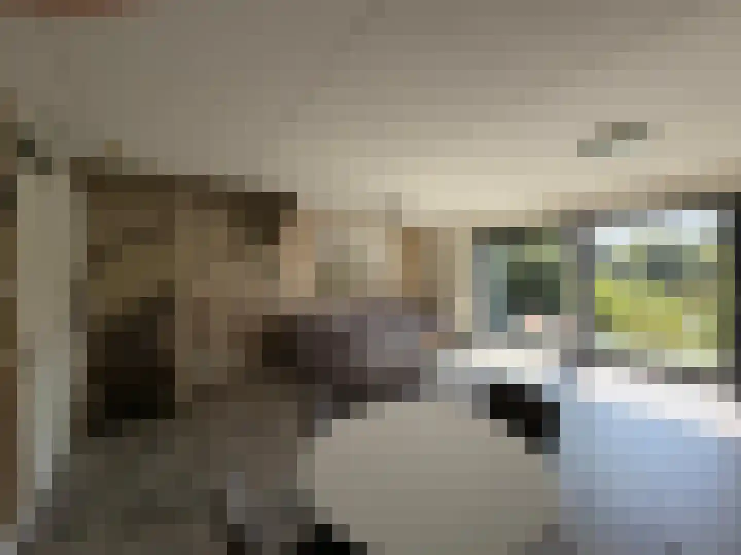 Het Verlaat 282 Apeldoorn thumbnail 7