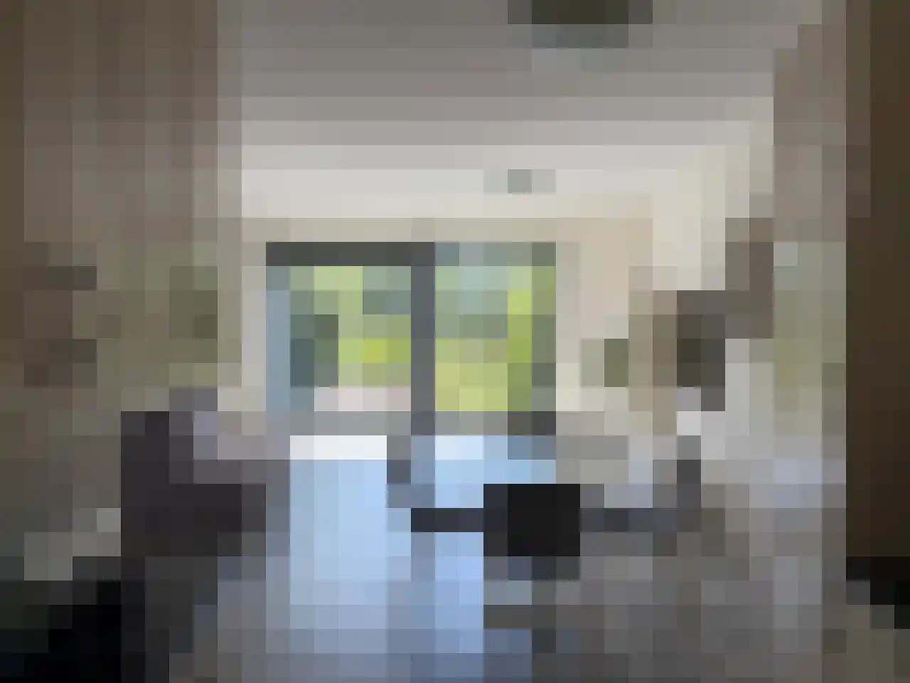 Het Verlaat 282 Apeldoorn thumbnail 9