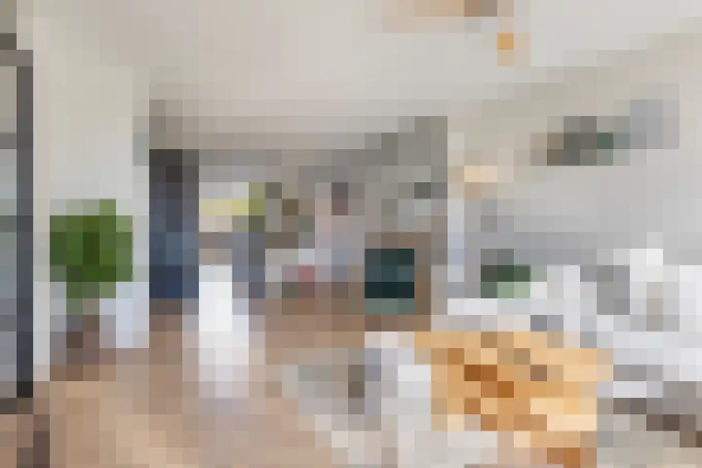 Het Verlaat 35 Apeldoorn thumbnail 15