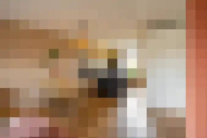 Het Verlaat 4 Meerstad thumbnail 13