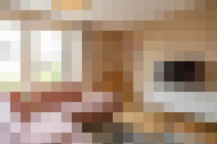 Het Verlaat 4 Meerstad thumbnail 17