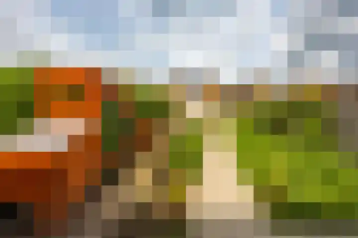 Het Verlaat 4 Meerstad thumbnail 19