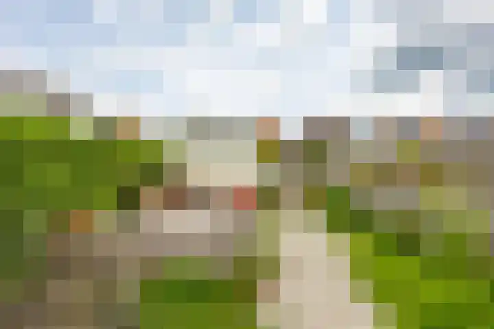 Het Verlaat 4 Meerstad thumbnail 20