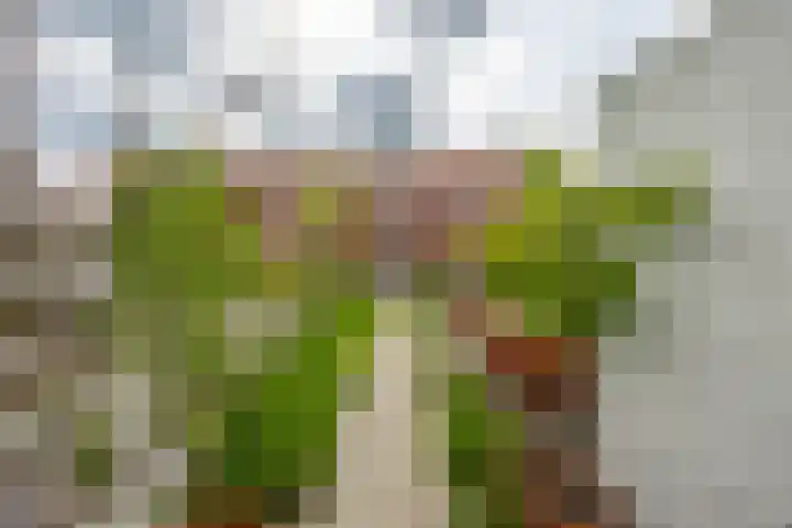 Het Verlaat 4 Meerstad thumbnail 23
