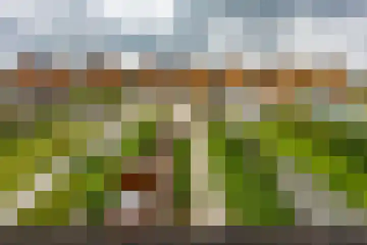 Het Verlaat 4 Meerstad foto 3