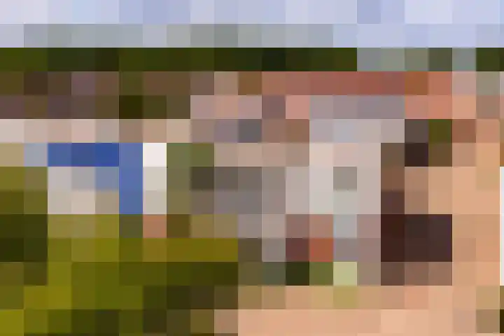 Het Verlaat 63 Apeldoorn thumbnail 5