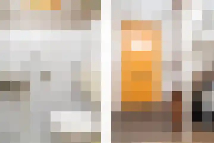 Het Verlaat 63 Apeldoorn thumbnail 8