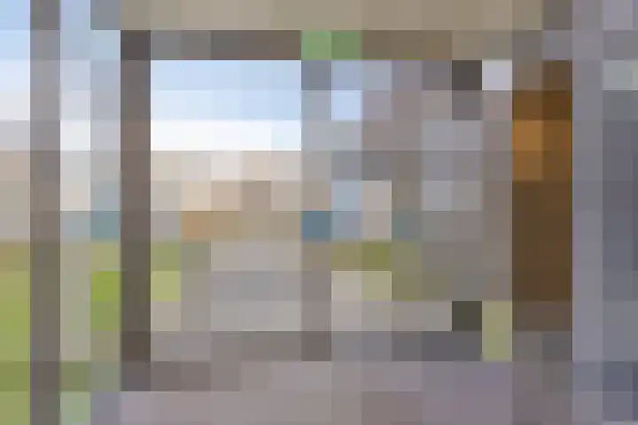 Het Verlaat 94 Apeldoorn thumbnail 24