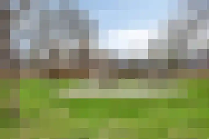 Het Verlaat 94 Apeldoorn thumbnail 34