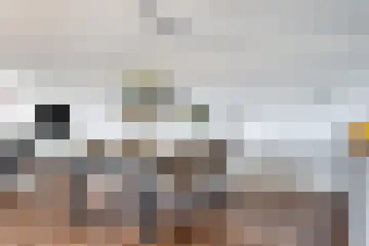Het Verlaat 94 Apeldoorn thumbnail 9
