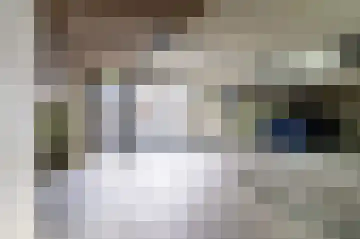 Het Verlaat 96 Apeldoorn thumbnail 35
