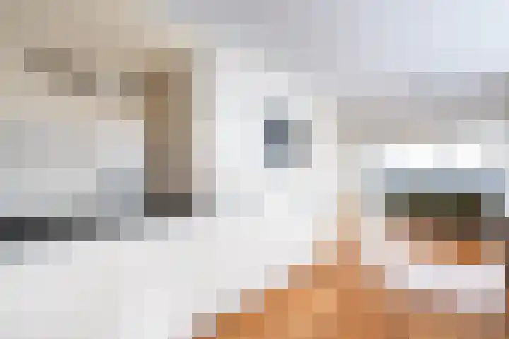 Het Verlaat 96 Apeldoorn thumbnail 7