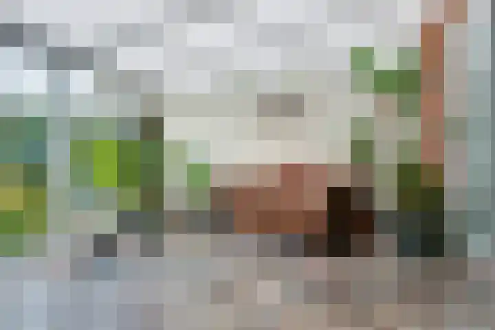 Het Verzet 1 A Aalten thumbnail 19