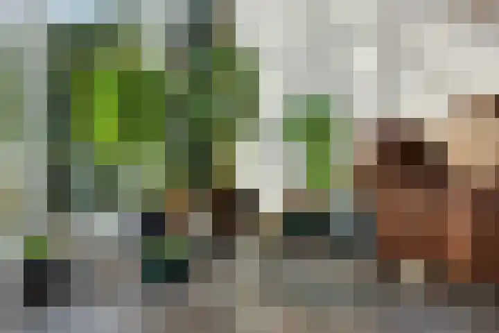 Het Verzet 1 A Aalten thumbnail 22