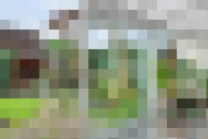 Het Verzet 1 A Aalten thumbnail 23