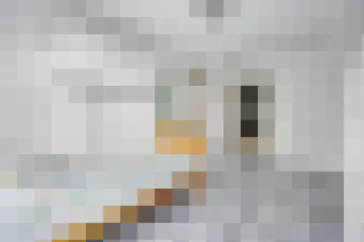 Het Verzet 1 A Aalten thumbnail 26