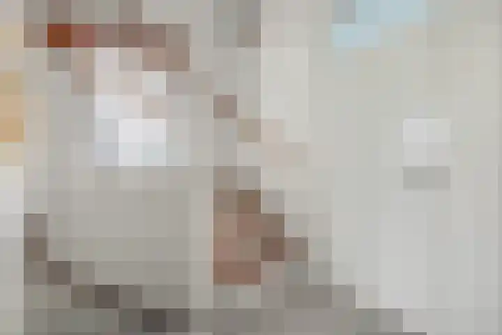 Het Verzet 1 A Aalten thumbnail 27