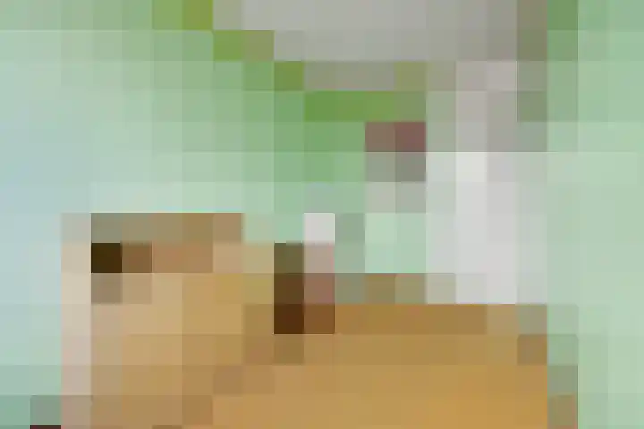 Het Verzet 1 A Aalten thumbnail 34