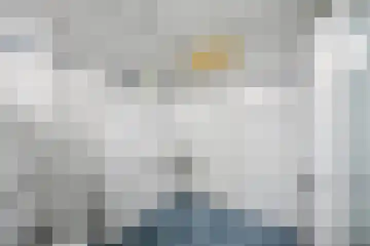 Het Verzet 1 A Aalten thumbnail 38