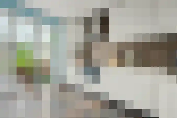 Het Verzet 1 A Aalten thumbnail 4