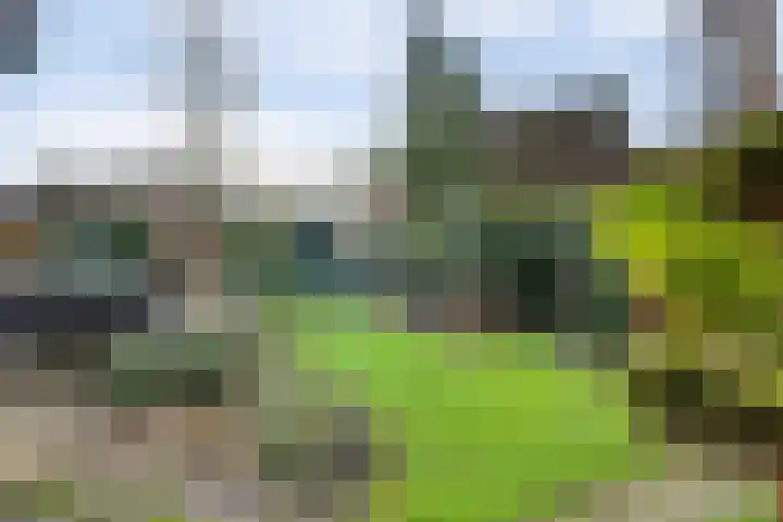 Het Verzet 1 A Aalten thumbnail 47