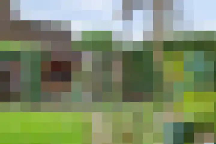 Het Verzet 1 A Aalten thumbnail 48