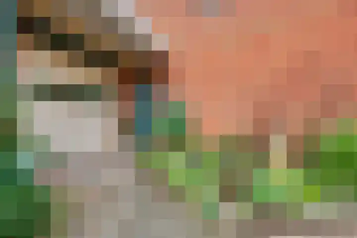 Het Verzet 1 A Aalten thumbnail 51