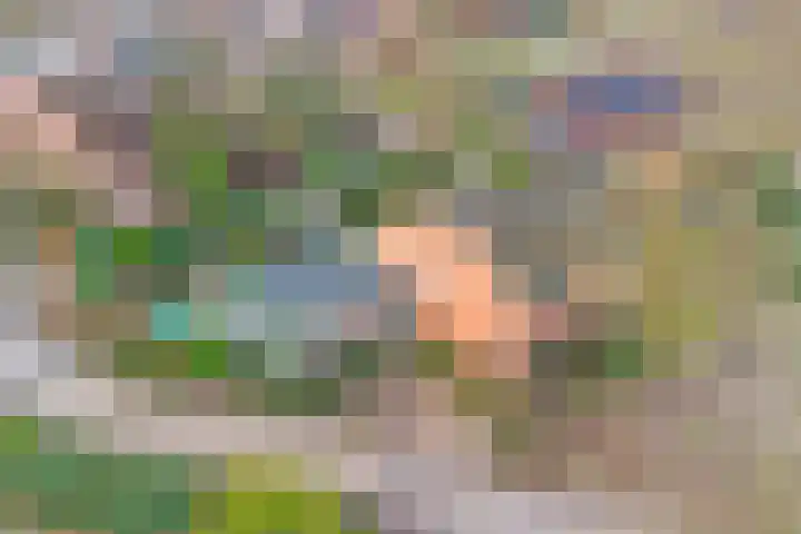 Het Verzet 1 A Aalten thumbnail 52