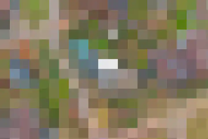 Het Verzet 1 A Aalten thumbnail 53