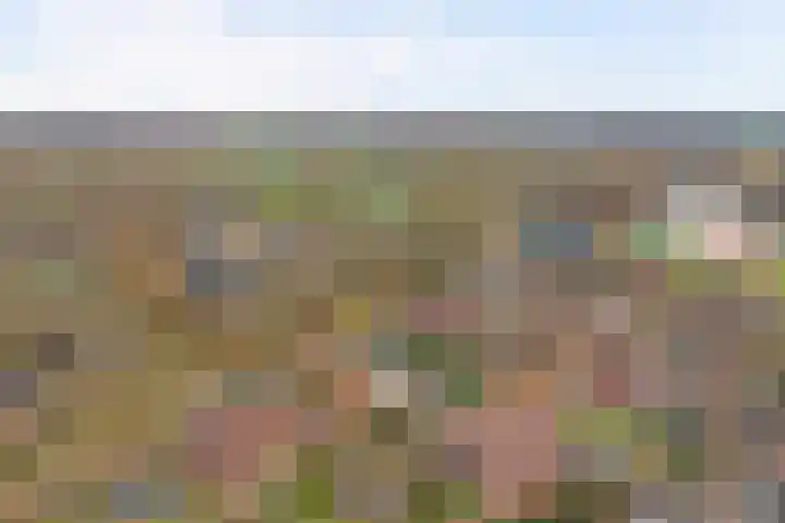 Het Verzet 1 A Aalten thumbnail 55