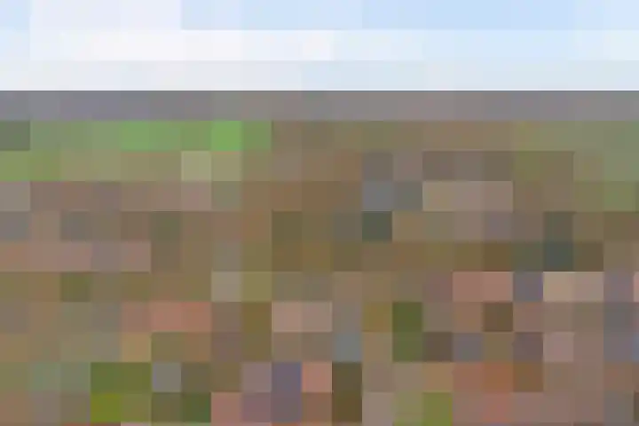 Het Verzet 1 A Aalten thumbnail 56