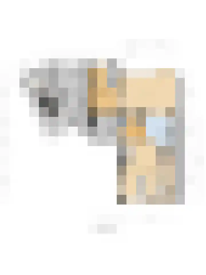 Het Verzet 1 A Aalten thumbnail 57