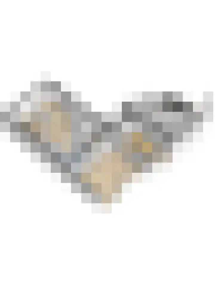 Het Verzet 1 A Aalten thumbnail 58