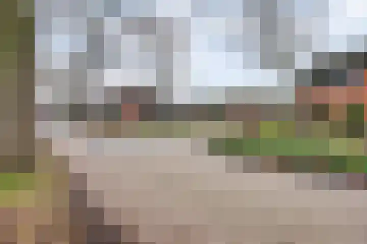 Het Verzet 1 A Aalten thumbnail 6