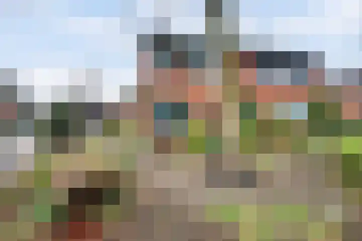 Het Verzet 1 A Aalten thumbnail 7