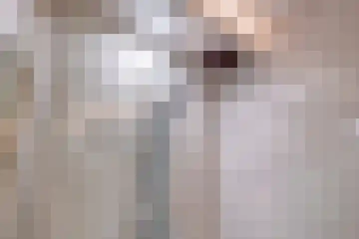 Het Verzet 14 Aalten thumbnail 14
