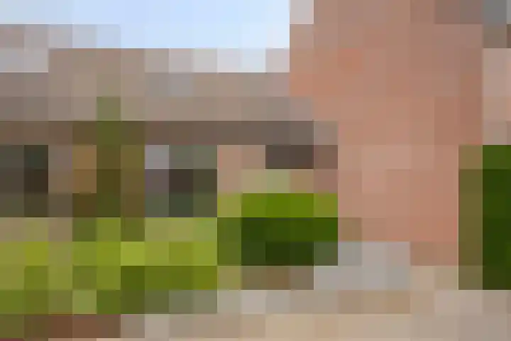 Het Verzet 14 Aalten thumbnail 22
