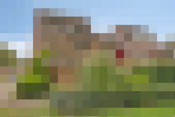 Het Verzet 70 Aalten thumbnail 28