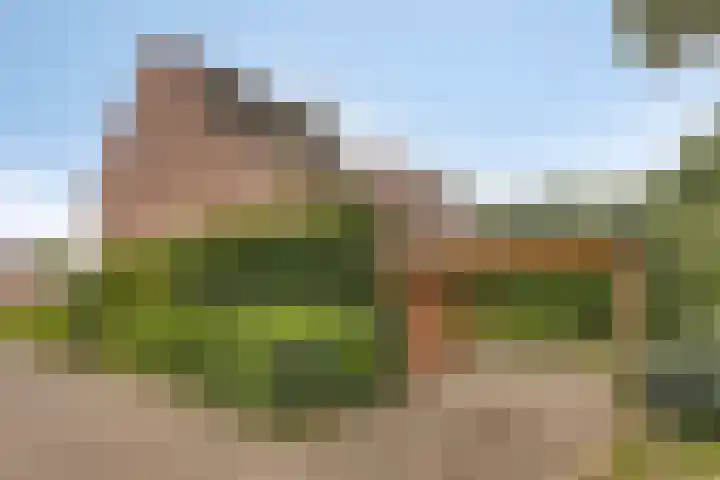 Het Verzet 70 Aalten thumbnail 29