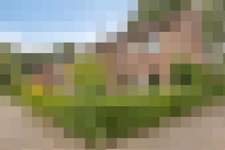 Het Verzet 70 Aalten foto 3