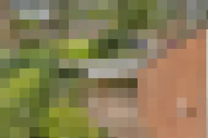 Het Verzet 70 Aalten thumbnail 30