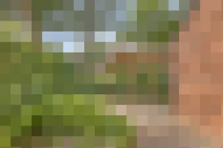 Het Verzet 70 Aalten thumbnail 31