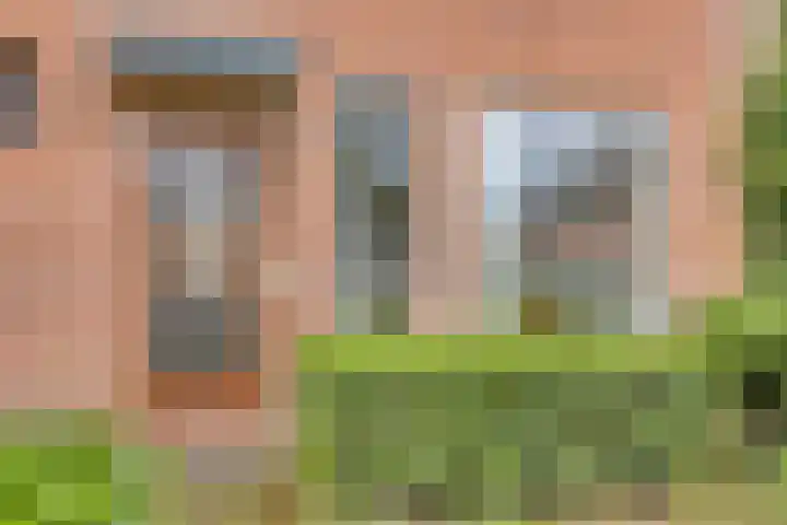 Het Verzet 70 Aalten thumbnail 33