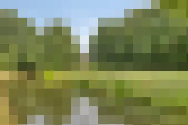 Het Verzet 70 Aalten thumbnail 35