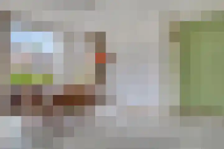 Het Verzet 70 Aalten thumbnail 5